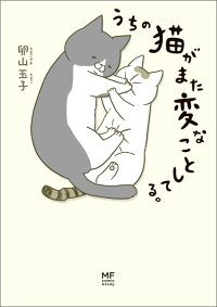 うちの猫がまた変なことしてる。