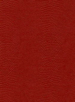 ESダイアリー2017 A6見開き1ヶ月＋ノート レッド