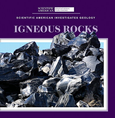 楽天ブックス: Igneous Rocks - Taron Longoria - 9781725351035 : 洋書