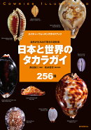 日本と世界のタカラガイ