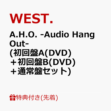 WEST. シングル アルバムセット W20226 What's Best !? SINGLES 1987〜1997 ZIGGY SNAKE HIP