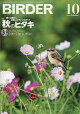 【予約】BIRDER (バーダー) 2026年 10月号 [雑誌]