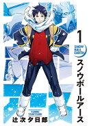 スノウボールアース カバー