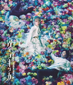 ミュージカル『ヴェラキッカ』Blu-ray 通常版【Blu-ray】 [ (ミュージカル) ]