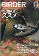 BIRDER (バーダー) 2020年 11月号 [雑誌]