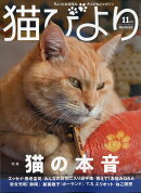 猫びより 2020年 11月号 [雑誌]