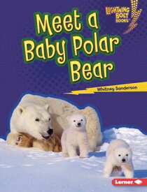Meet a Baby Polar Bear MEET A BABY POLAR BEAR （Lightning Bolt Books (R) -- Baby North American Animals） [ Whitney Sanderson ]