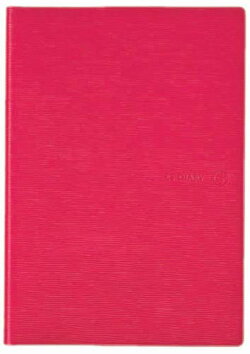 ESダイアリー2017 B6見開き1ヶ月＋ノート ピンク