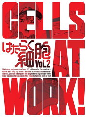 はたらく細胞 2(完全生産限定版)