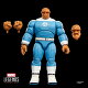 【予約】ハズブロ（Hasbro）MARVEL マーベルレジェンド・シリーズ アベンジャーズ／ドゥームズデイ ザ・シング 15 cm アクションフィギュア G2061 正規品