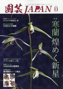 園芸JAPAN (ジャパン) 2025年 11月号 [雑誌]