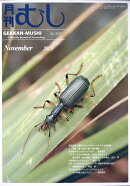 月刊 むし 2025年 11月号 [雑誌]