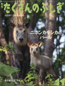 月刊 たくさんのふしぎ 2025年 11月号 [雑誌]