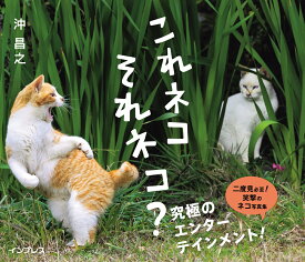 これネコ　それネコ？ [ 沖 昌之 ]
