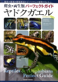 楽天ブックス ヤドクガエル 爬虫 両生類パーフェクトガイド 松園純 本