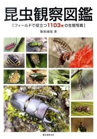 昆虫観察図鑑 フィールドで役立つ1103種の生態写真 [ 築地琢郎 ]