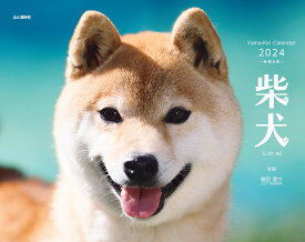 柴犬カレンダー（2024） （［カレンダー］）