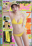 ヤングキング BULL(ブル) 2026年 11/8号 [雑誌]