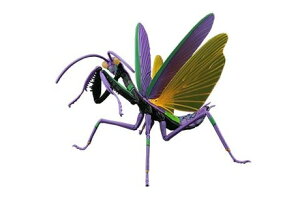 RV[Y G@QI IIJ}L @dl yR231z (vf)