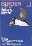 BIRDER (バーダー) 2019年 11月号 [雑誌]