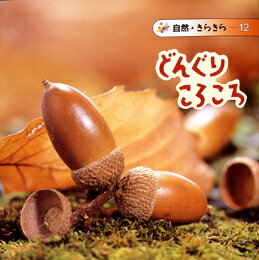 楽天ブックス どんぐり こが ようこ 本