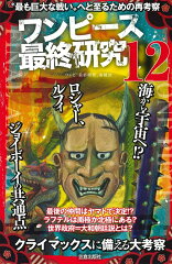 ワンピース最終研究12