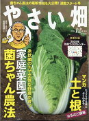 やさい畑 2024年 12月号 [雑誌]