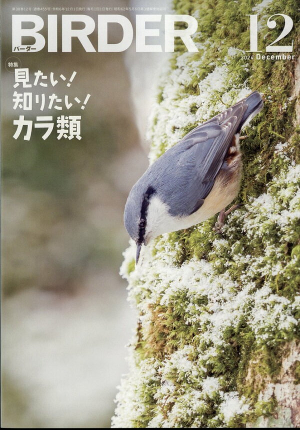 楽天ブックス: BIRDER (バーダー) 2024年 12月号 [雑誌] - 文一総合  