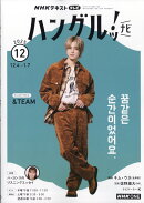 TVハングルッ!ナビ 2025年 12月号 [雑誌]