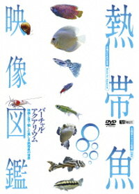 楽天ブックス シンフォレストdvd 熱帯魚映像図鑑 バーチャル アクアリウム 映像と音で愉しむ美しき熱帯魚の世界 趣味 教養 Dvd