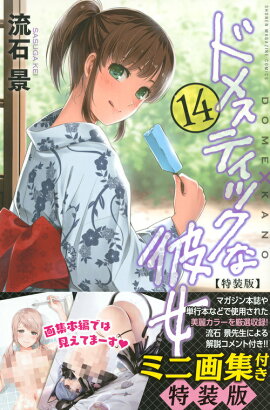 �ɥ᥹�ƥ��å��������14��������