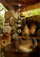 カピバラ日和［DVD］