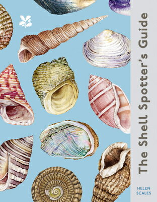 楽天ブックス: The Shell-Spotter's Guide - Helen Scales - 9780008641313 : 洋書