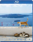 エーゲ海・猫が暮らす癒しの島【Blu-ray】