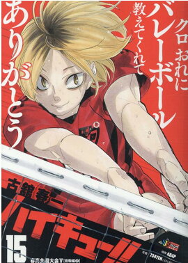 �ϥ����塼������15��