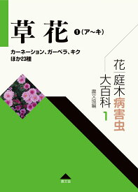 楽天市場 アジュガ 種の通販 楽天市場 アジュガ 種の通販