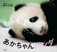 もふもふ あかちゃんパンダ (講談社の幼児えほん)