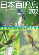日本百鳴鳥 202 映像と鳴き声で愉しむ野鳥図鑑