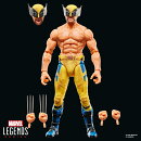 【楽天ブックス限定】ハズブロ(Hasbro)MARVEL マーベルレジェンド・シリーズ ウルヴァリン、 マーベルスタジオ デ…