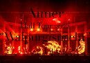Aimer Hall Tour 2022 “Walpurgisnacht” Live at TOKYO GARDEN THEATER(初回生産限定盤 DVD＋CD＋ブックレット)