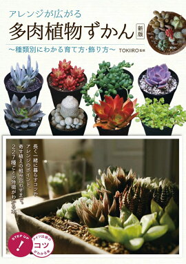 楽天ブックス はじめての多肉植物ライフ スタイリッシュな寄せ植えから ふやし方 育て方まで 勝地末子 本