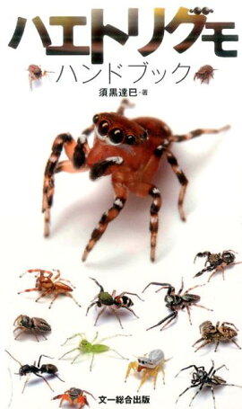 楽天ブックス クモハンドブック 馬場友希 本