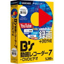 B's 動画レコーダー 7+DVDビデオ