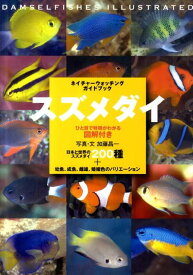 楽天市場 ダイビング魚図鑑の通販