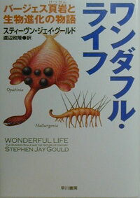 楽天ブックス ワンダフル ライフ バージェス頁岩と生物進化の物語 スティーヴン ジェー グールド 本