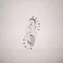 【先着特典】理屈で話す君と、感情論の僕(ごめんね、全身にしてステッカー vol.5 (4種類ランダム))