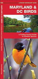 Maryland & DC Birds: A Folding Pocket Guide to Familiar Species