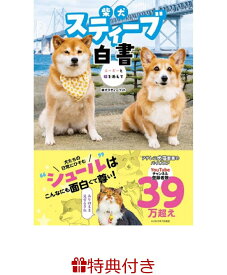 【特典】柴犬スティーブ白書(ポストカード2枚) [ 柴犬スティーブch ]