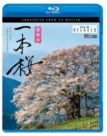日本の一本桜 4K撮影作品【Blu-ray】 [ (趣味/教養) ]