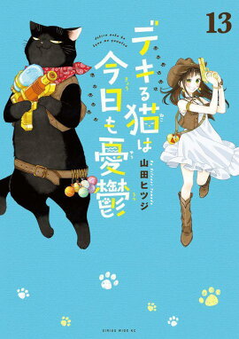 デキる猫は今日も憂鬱（13）